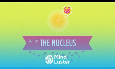 The Nucleus Crash Course Chemistry 1