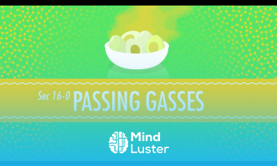 Passing Gases Effusion Diffusion and the Velocity of a Gas Crash Course Chemistry 16