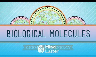 Biological Molecules You Are What You Eat Crash Course Biology 3
