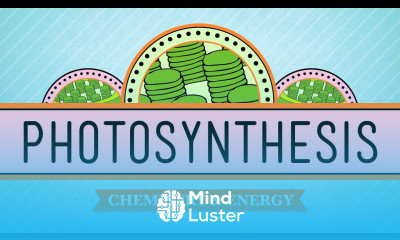 Photosynthesis Crash Course Biology 8