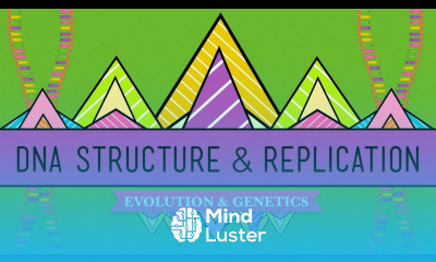DNA Structure and Replication Crash Course Biology 10