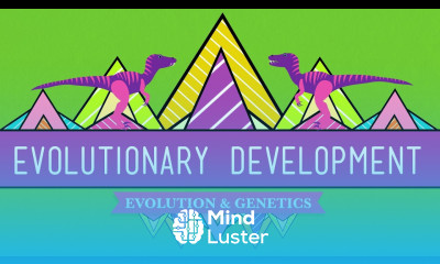 Evolutionary Development Chicken Teeth Crash Course Biology 17