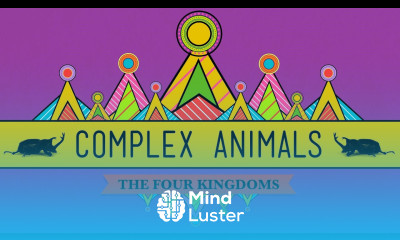 Complex Animals Annelids Arthropods CrashCourse Biology 23