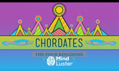 Chordates CrashCourse Biology 24