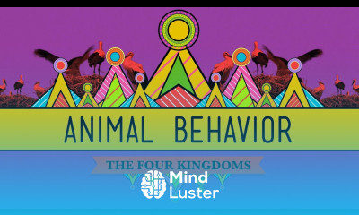 Animal Behavior CrashCourse Biology 25