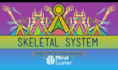 The Skeletal System It s ALIVE CrashCourse Biology 30