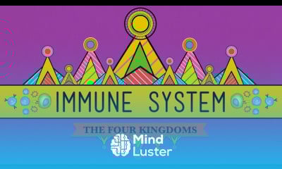 Your Immune System Natural Born Killer Crash Course Biology 32