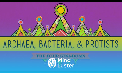 Old Odd Archaea Bacteria Protists CrashCourse Biology 35