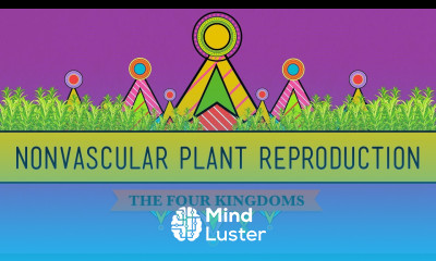 The Reproductive Lives of Nonvascular Plants Alternation of Generations Crash Course Biology 36