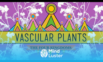 Vascular Plants Winning Crash Course Biology 37