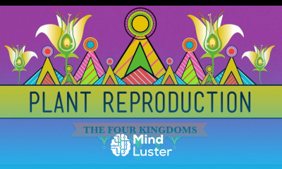 The Plants The Bees Plant Reproduction CrashCourse Biology 38