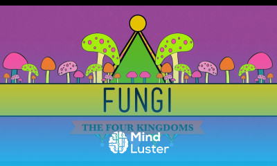 Fungi Death Becomes Them CrashCourse Biology 39