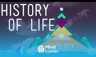 The History of Life on Earth Crash Course Ecology 1