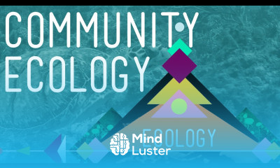 Community Ecology Feel the Love Crash Course Ecology 4