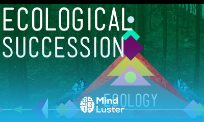 Ecological Succession Change is Good Crash Course Ecology 6