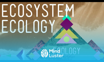 Ecosystem Ecology Links in the Chain Crash Course Ecology 7