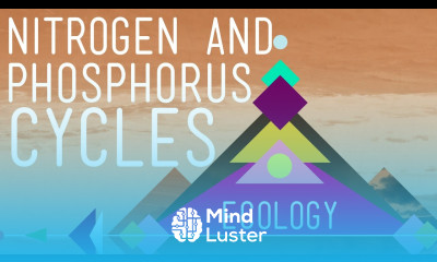 Nitrogen Phosphorus Cycles Always Recycle Part 2 Crash Course Ecology 9
