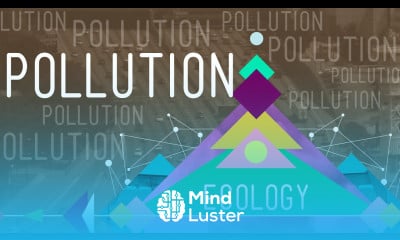 Pollution Crash Course Ecology 11
