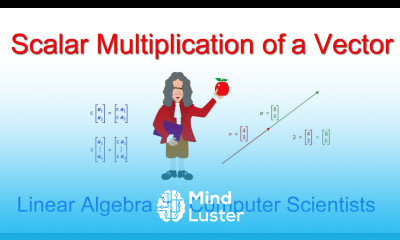 Linear Algebra for Computer Scientists 4 Scalar Multiplication of Vectors