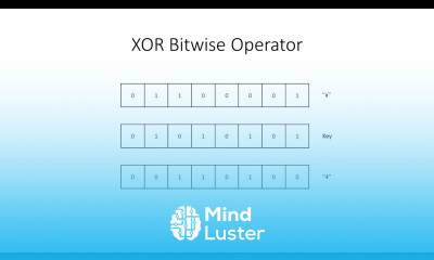 Learn Bitwise Operators 3 The XOR Operation - Mind Luster