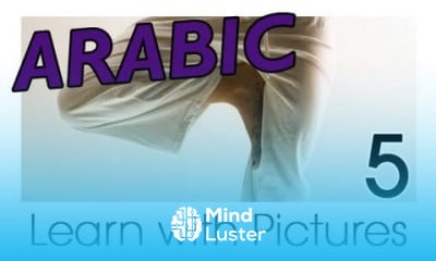 Learn Arabic Arabic Body Parts Vocabulary