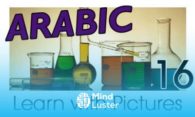 Learn Arabic Arabic Study Subjects Vocabulary