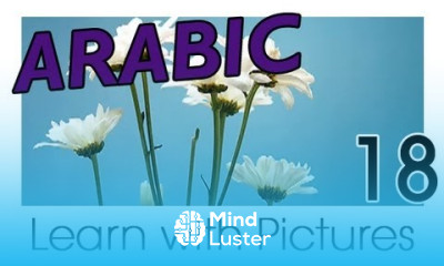 Learn Arabic Arabic Plants Vocabulary