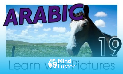 Learn Arabic Arabic Farm Animals Vocabulary