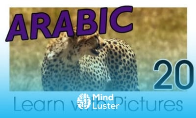 Learn Arabic Arabic Safari Animals Vocabulary