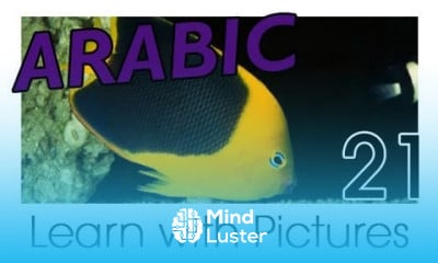 Learn Arabic Arabic Marine Animals Vocabulary