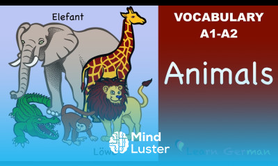 Learn German Vocabulary Animals in German Tiere
