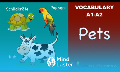 Learn German | German Vocabulary | Haustiere | Pets | A1