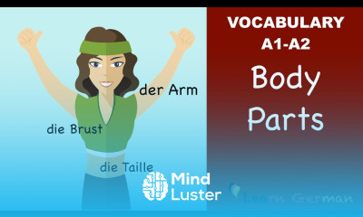 Learn German | German Vocabulary | die Körperteile | Body parts | der Körper | A1
