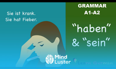 Learn German | German Grammar | haben und sein als Vollverb | A1