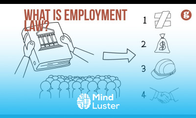 What is Employment Law