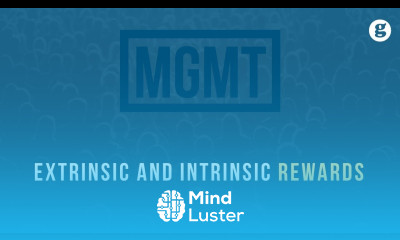 Learn Extrinsic and Intrinsic Rewards - Mind Luster