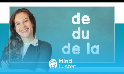 lingoni FRENCH 32 Articles Partitifs du de l de A1