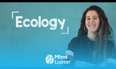 Top 10 Verbs to Talk about Sustainability B2