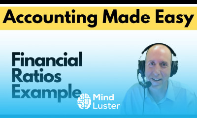 FA8 Financial Ratios