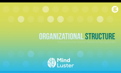 Organizational Structure