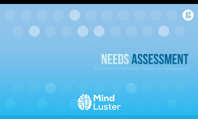 Learn Needs Assessment - Mind Luster