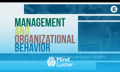 Management and Organizational Behavior
