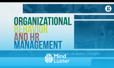 Organizational Behavior and Human Resource Management