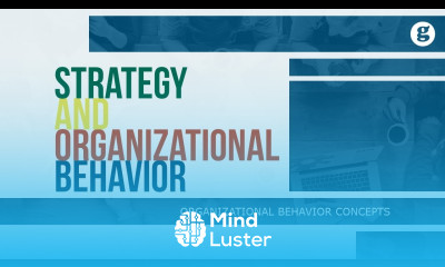 Strategy and Organizational Behavior