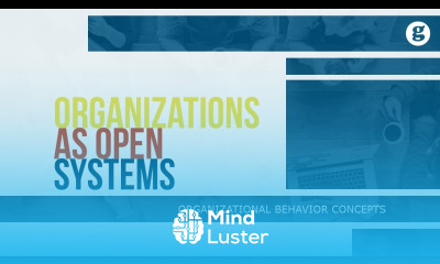 Organizations as Open Systems