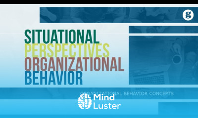 Situational Perspectives on Organizational Behavior