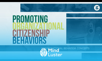 Promoting Organizational Citizenship Behaviors
