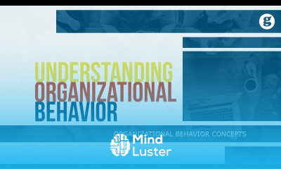Understanding Organizational Behavior