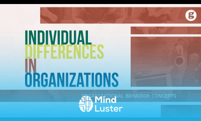 Individual Differences in Organizations