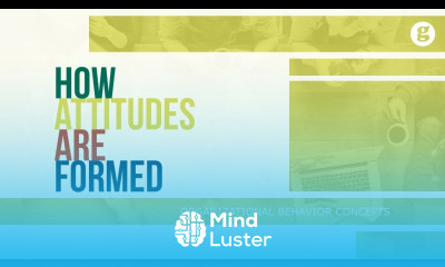 How Attitudes are Formed